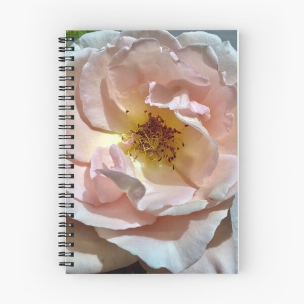 Item preview, Fading rose designed and sold by Pickleisgreen.