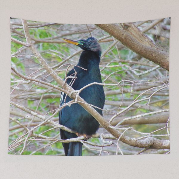 Item preview, Black Anhinga Bird in Tree designed and sold by toddbrooney.