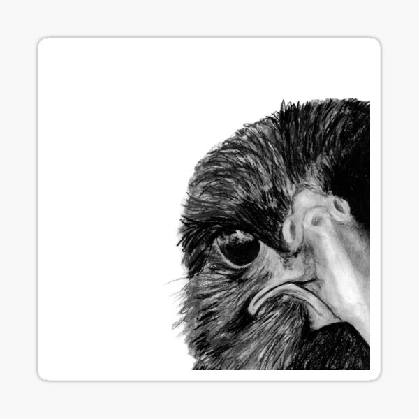 Item preview, The Secret of the Raven designed and sold by jojotou.