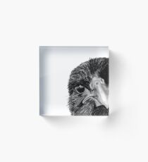 The Secret of the Raven Acrylic Block