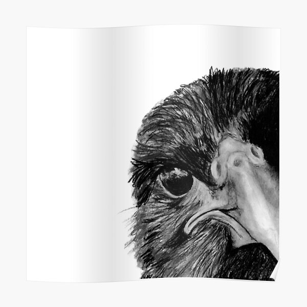 The Secret of the Raven Poster