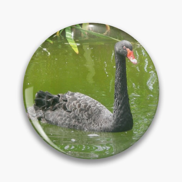 Item preview, Black Swan birds 014 designed and sold by pasta26mc.