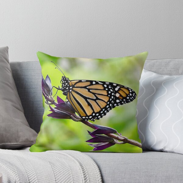 Item preview, Butterfly Resting on a Branch designed and sold by richardbryce.