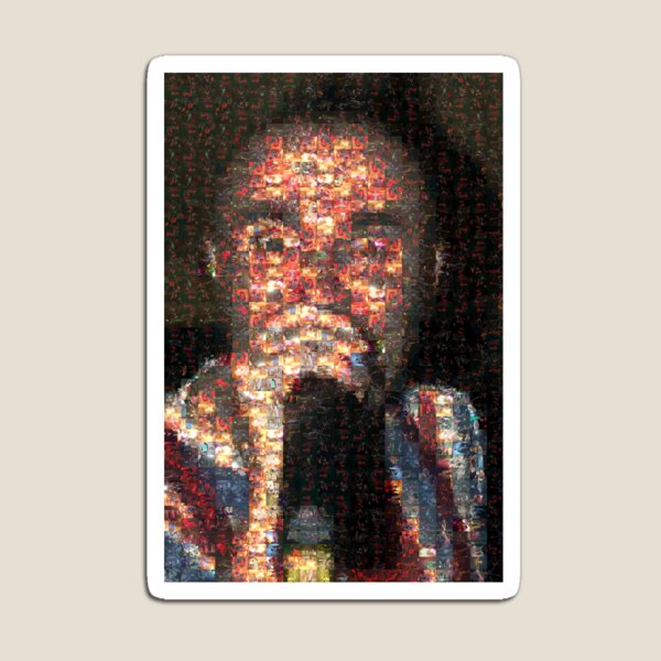 The Twits - a retrospective Magnet