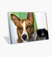 Skyler Laptop Skin