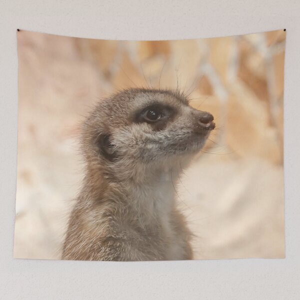 Item preview, small furry animals meerkat close up designed and sold by nataliavavilina.