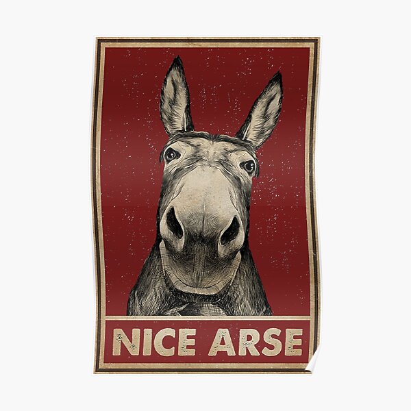 Vintage Donkey Nice Arse Poster