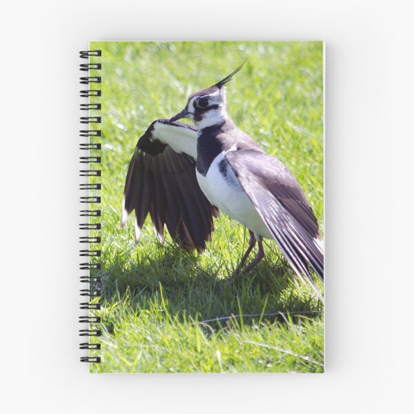 Item preview, Lapwing designed and sold by mikebov.
