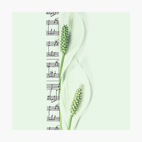 Item preview, music of flowers designed and sold by Natairbrush.