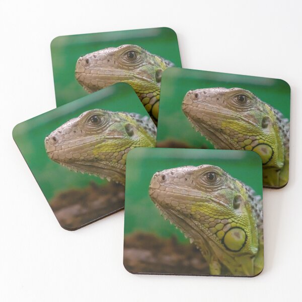 Item preview, green iguana close-up on dark green background designed and sold by nataliavavilina.