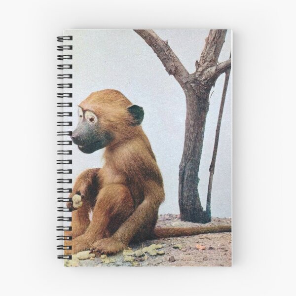 Item preview, Badly Taxidermied Baboon Infant designed and sold by redoARTstore.