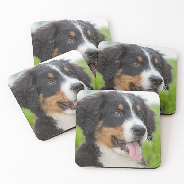 Item preview, Bernese Mountain Dog designed and sold by Ingo Gerlach.