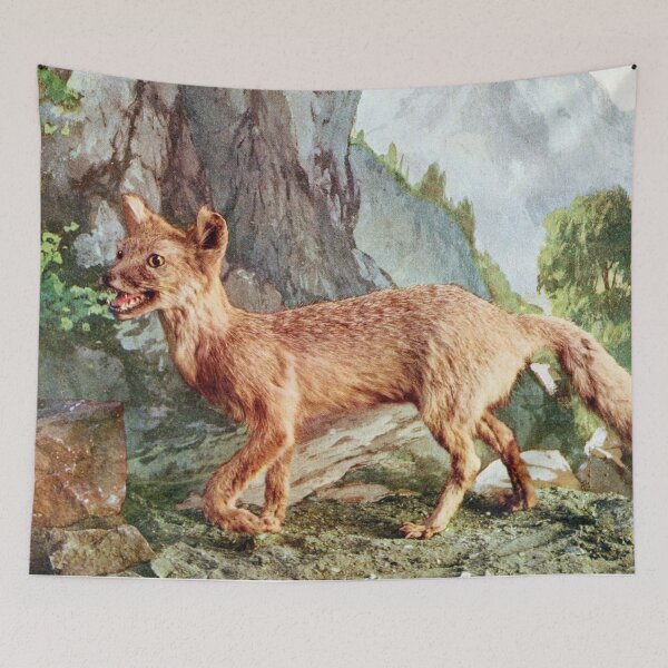 Item preview, Badly Taxidermied Swift Fox designed and sold by redoARTstore.