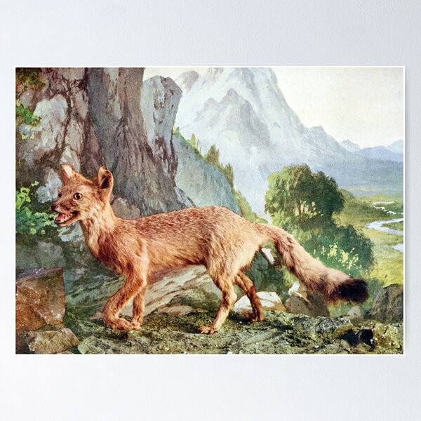 Item preview, Badly Taxidermied Swift Fox designed and sold by redoARTstore.