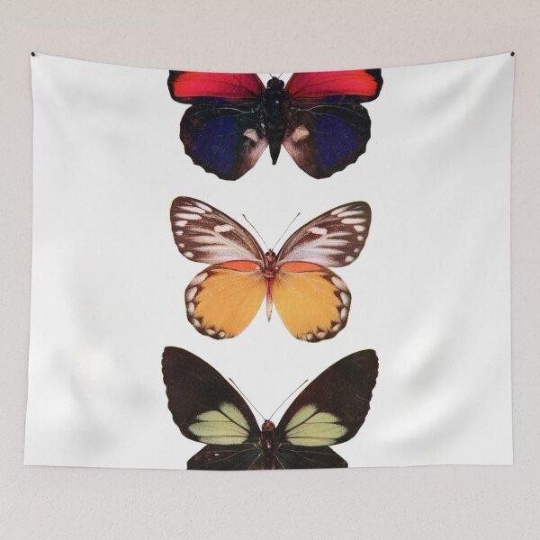 Item preview, Three Butterfly Species designed and sold by redoARTstore.