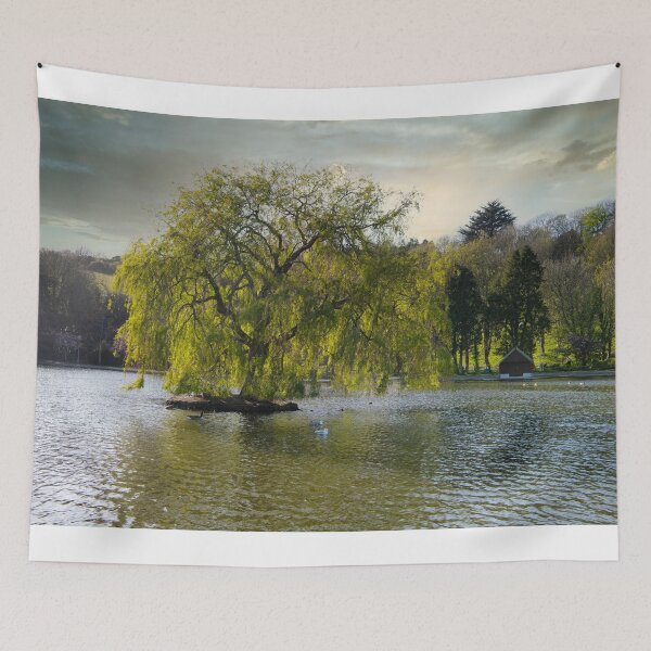 Item preview, Weeping Willow tree designed and sold by kathleenjean.