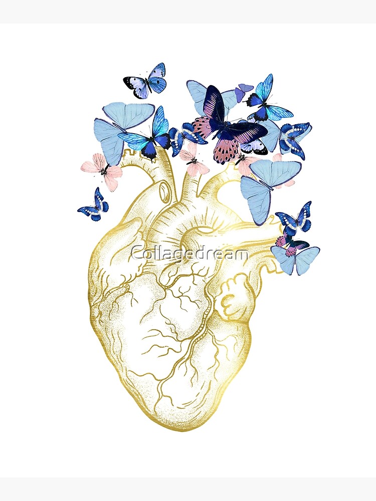 Human Heart With Blue Butterflies Watercolor Style Anatomy Art Mounted Print For Sale By 3102