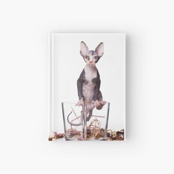 Item preview, Cute Bald sphinx cat kitten designed and sold by utekhina.