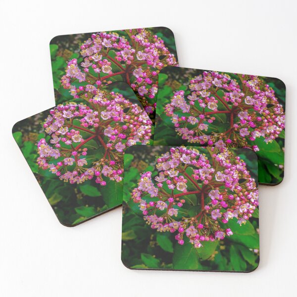 Item preview, Early blossom - Nature designed and sold by BaldingSnail.