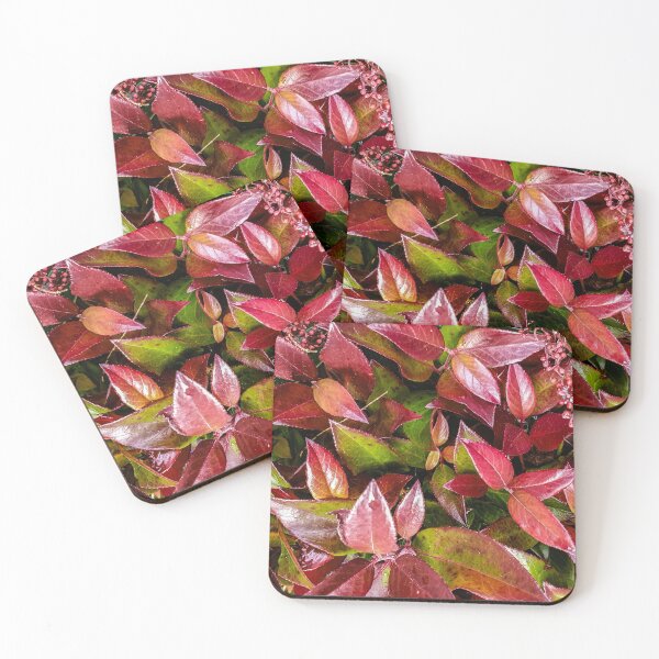 Item preview, Shinny leaves - Nature designed and sold by BaldingSnail.