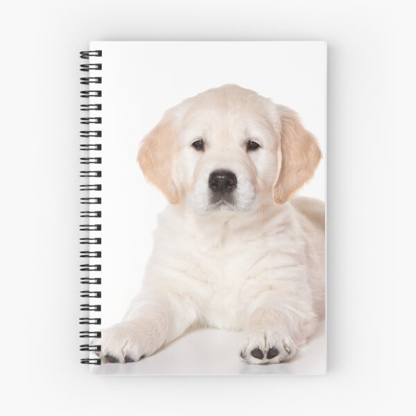 Item preview, Fluffy white puppy dog golden retriever labrador designed and sold by utekhina.