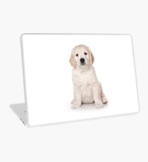 Fluffy white puppy dog golden retriever labrador Laptop Skin