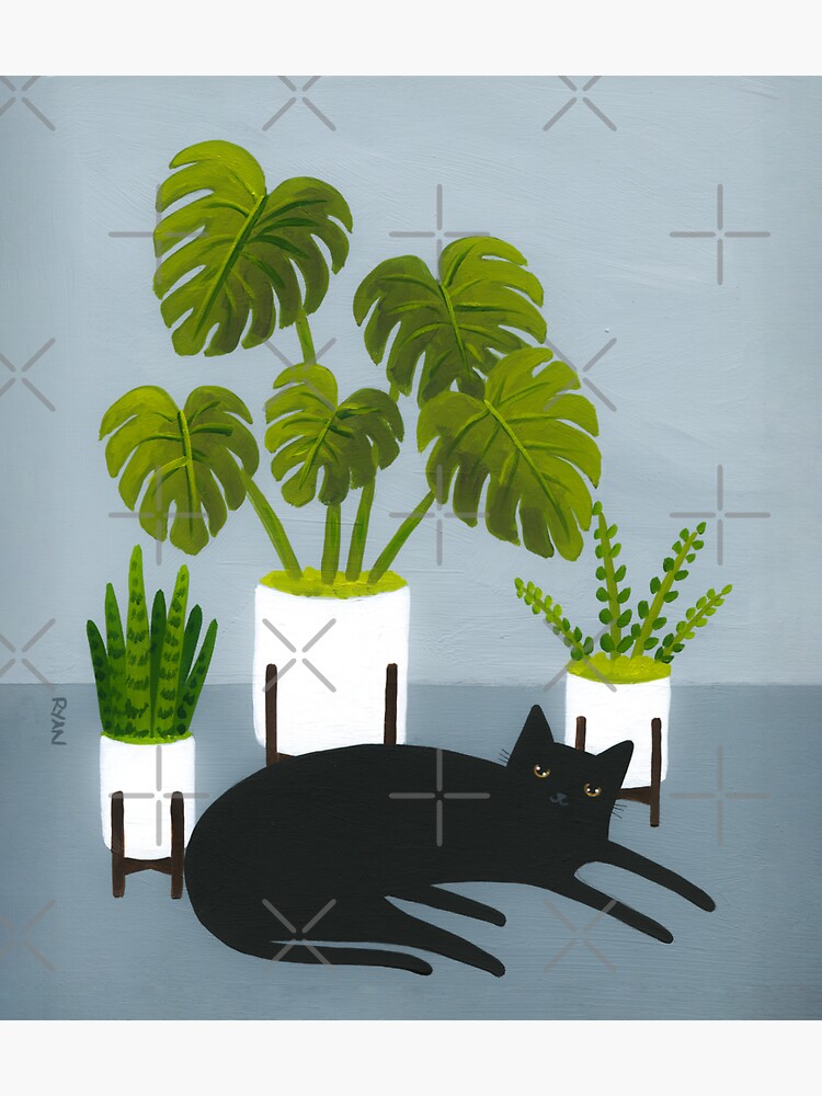Black Cat and Potted Plants by kilkennycat