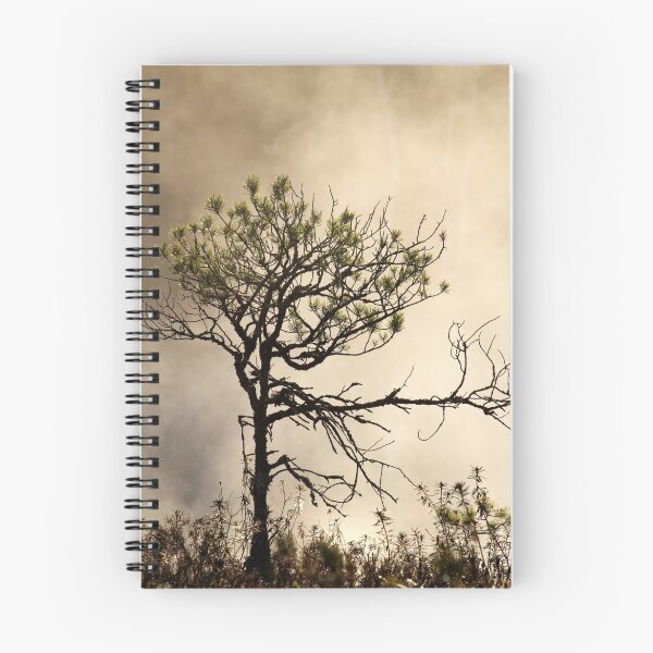 Item preview, 12.5.2016: Pine Tree designed and sold by Petri Volanen.