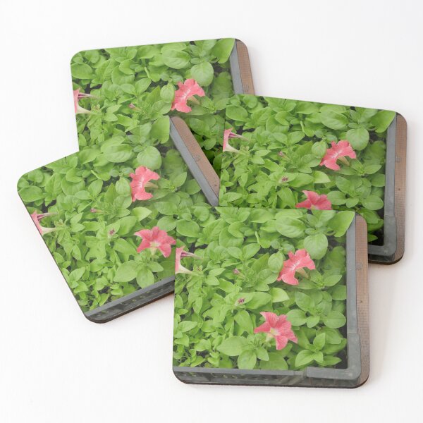 Item preview, green seedlings petunia flowers  designed and sold by mrivserg.