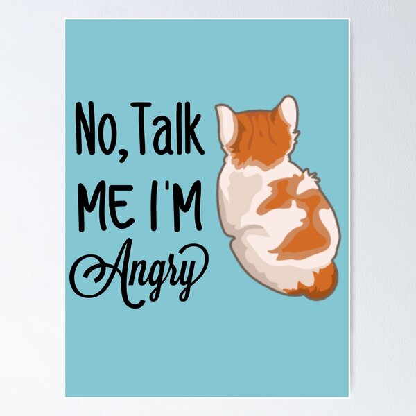 Cats with hard hats, DON'T TALK TO ME IM ANGRY CAT MEMES CAT LOVER T-Shirt  Poster for Sale by Farzana Naveed