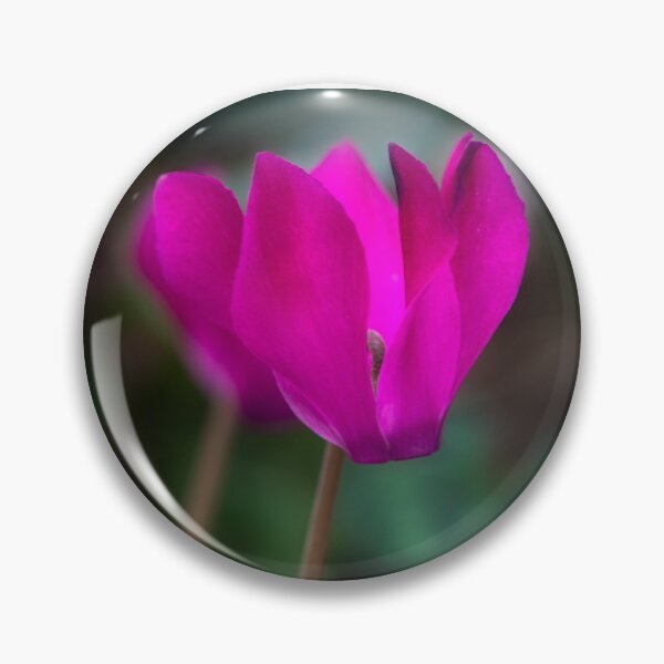 Item preview, Miniature cyclamen designed and sold by Pauline Lewis.