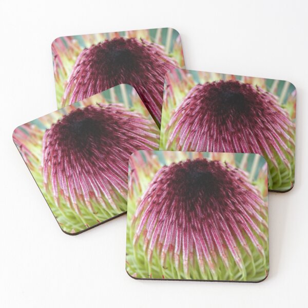 Item preview, Protea flower designed and sold by Esther  Moliné.