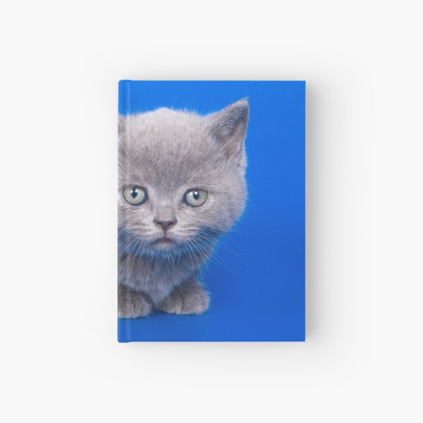 Item preview, Lovely fluffy kitten charming British cat designed and sold by utekhina.