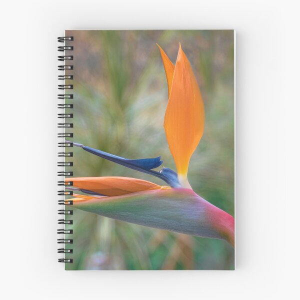 Item preview, Bird of Paradise designed and sold by Pauline Lewis.