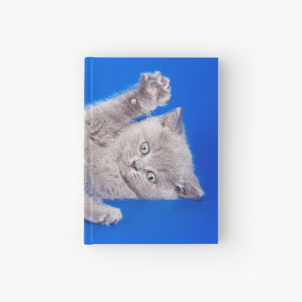 Item preview, Lovely fluffy kitten charming British cat designed and sold by utekhina.