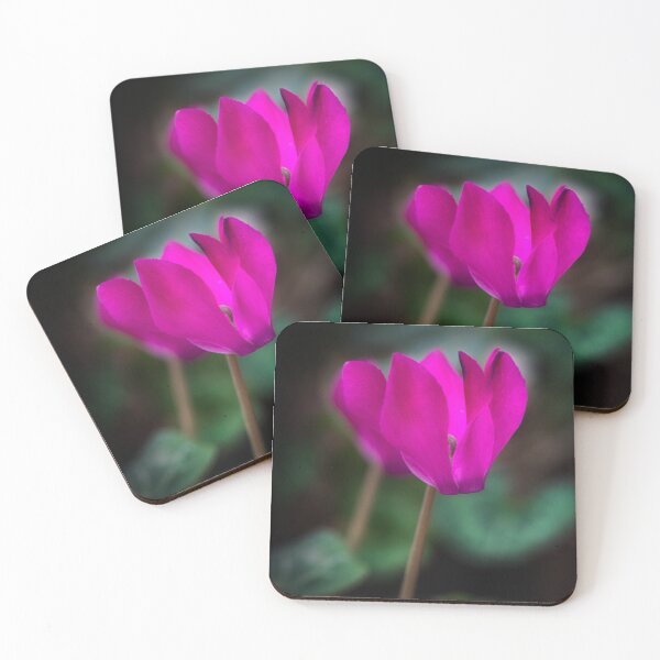 Item preview, Miniature cyclamen designed and sold by Pauline Lewis.