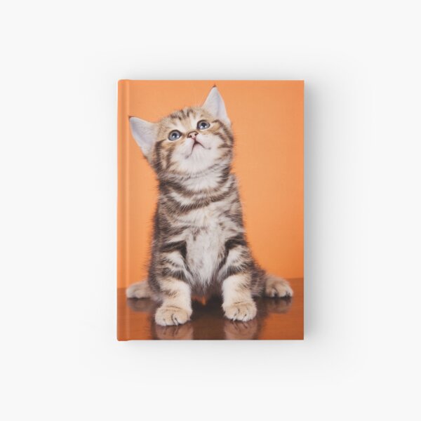 Item preview, Lovely fluffy kitten charming British cat designed and sold by utekhina.