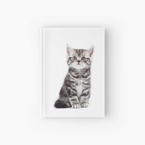 Item preview, Lovely fluffy kitten charming British cat designed and sold by utekhina.