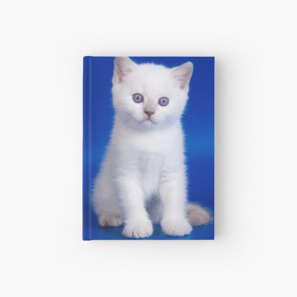 Item preview, Lovely fluffy kitten charming British cat designed and sold by utekhina.