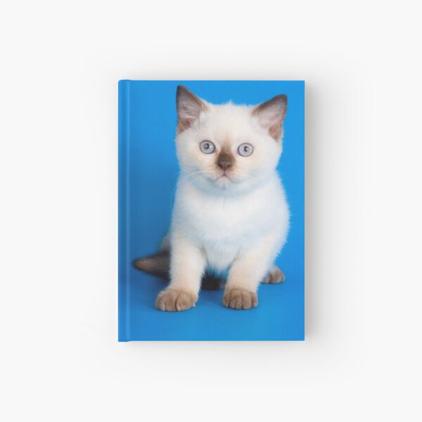Item preview, Lovely fluffy kitten charming British cat designed and sold by utekhina.
