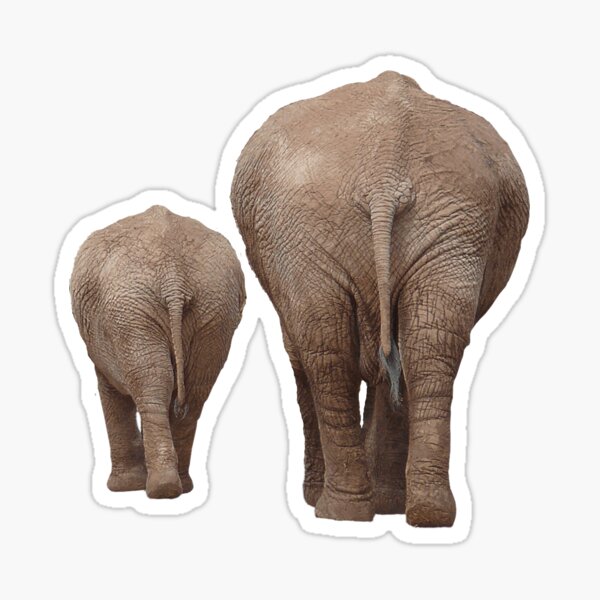 2 x Vinyl Stickers 10cm Wild African Elephant Savannah Africa Animal Cool Gift 