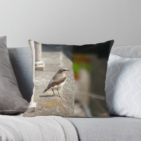 Item preview, Male Wheatear designed and sold by GreyFeatherPhot.