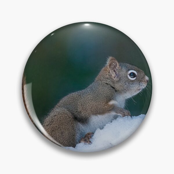Item preview, Red Squirrel designed and sold by Michael Cummings.