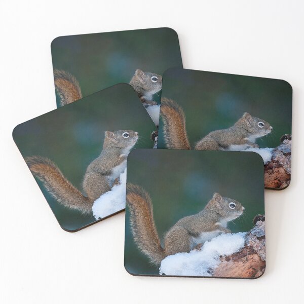 Item preview, Red Squirrel designed and sold by Michael Cummings.