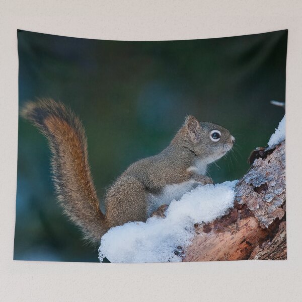 Item preview, Red Squirrel designed and sold by Michael Cummings.