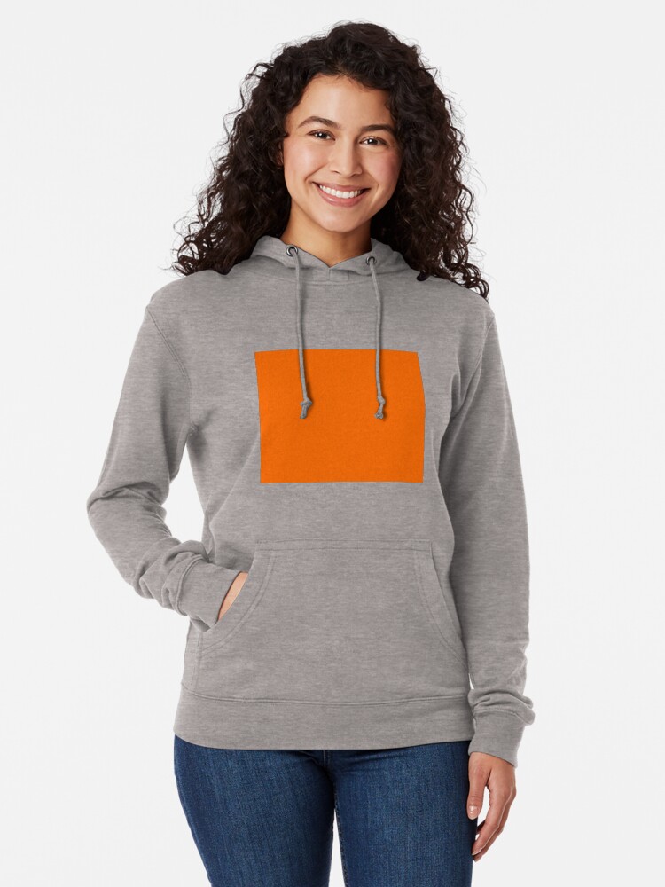 Alternate view of Orange Lightweight Hoodie