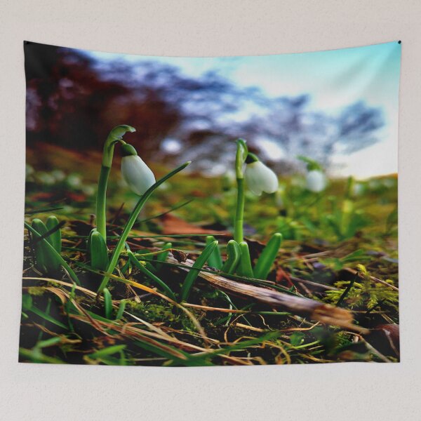 Item preview, The first snowdrops designed and sold by frankuffmann.