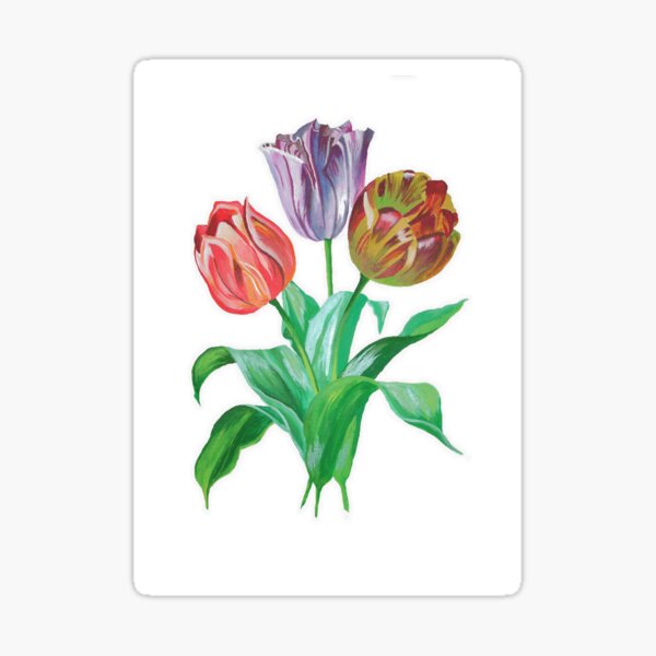 Tulip Trio Colorful Artistic Flowers Sticker