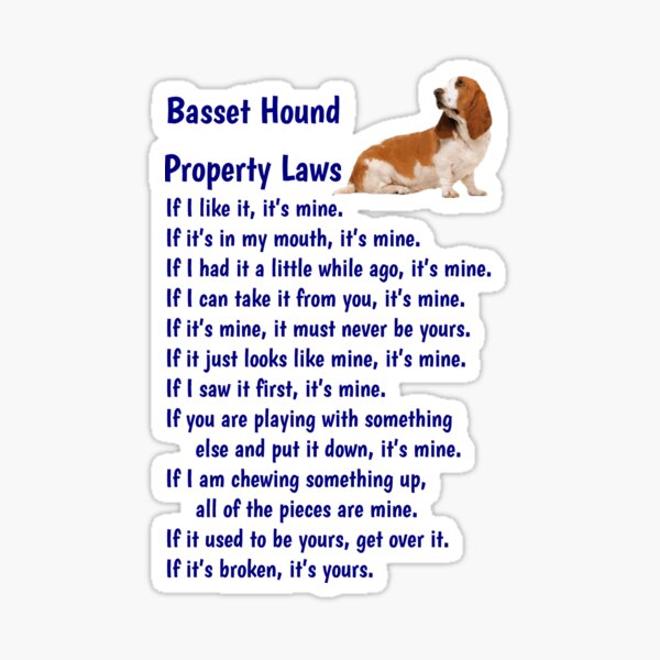 basset hound items