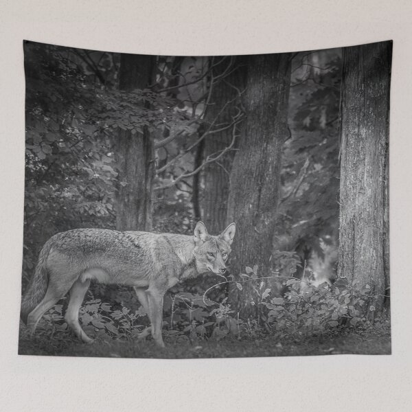 Item preview, Coyote designed and sold by Andrea Swiedler.